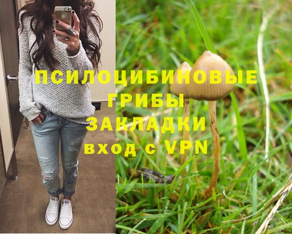 шишки Балабаново
