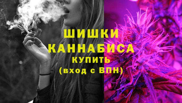 шишки Балабаново