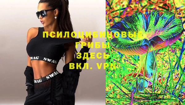 гашик Балахна